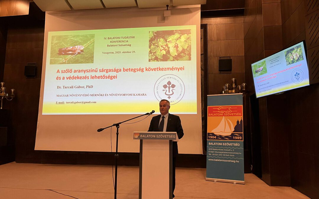 IV. Balatoni Tudástár 2025.10.29 Veszprém